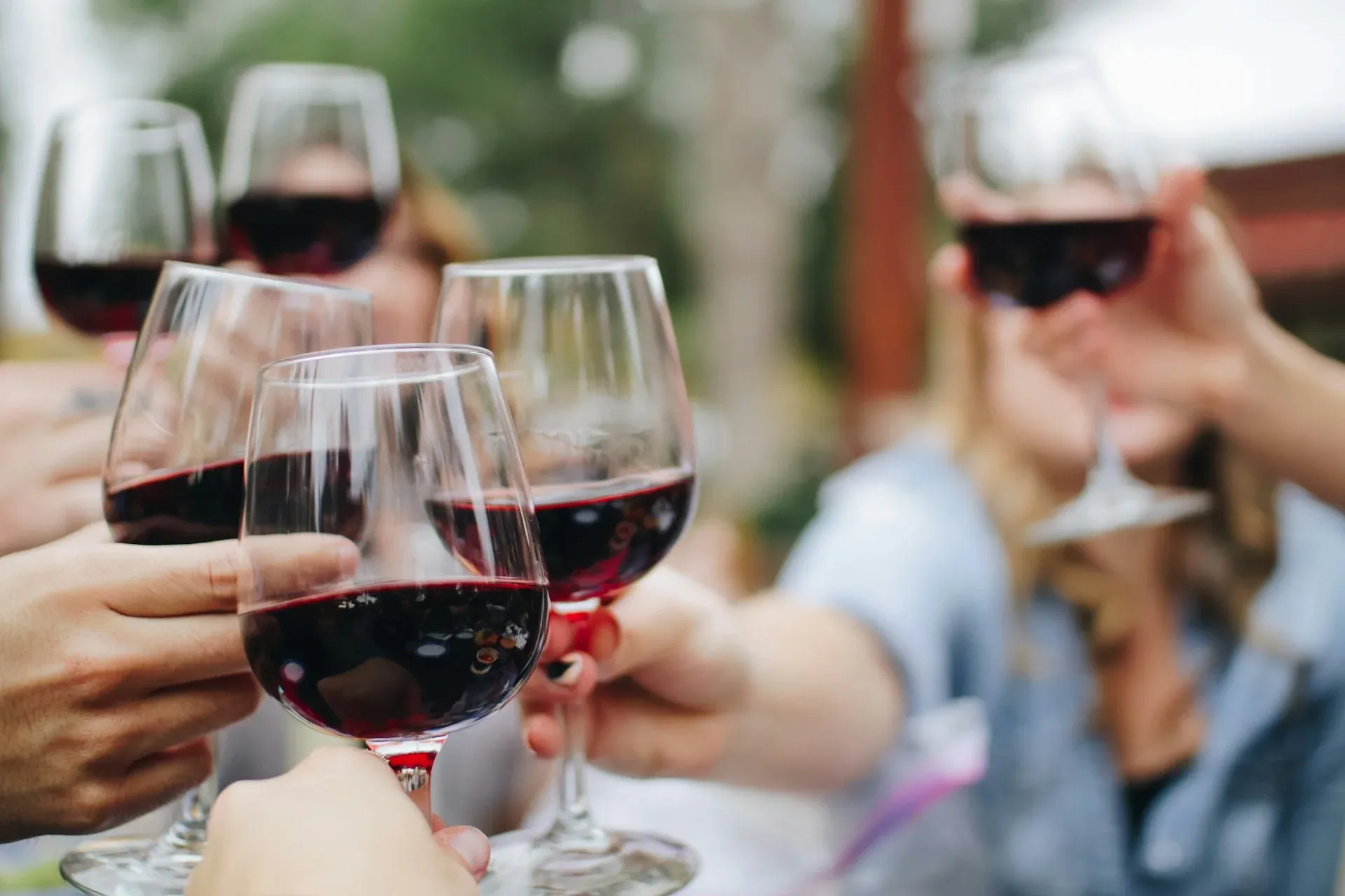 Introducción al vino